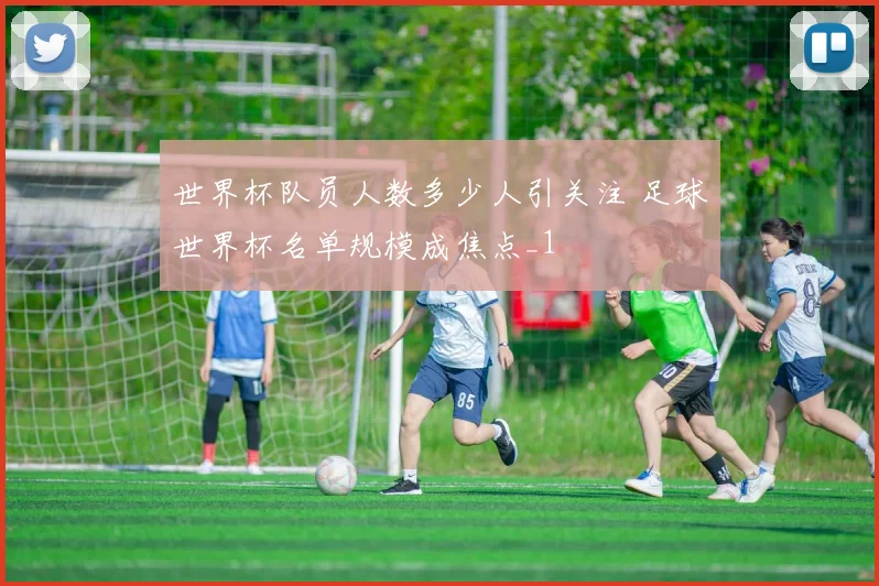 世界杯队员人数多少人引关注 足球世界杯名单规模成焦点_1