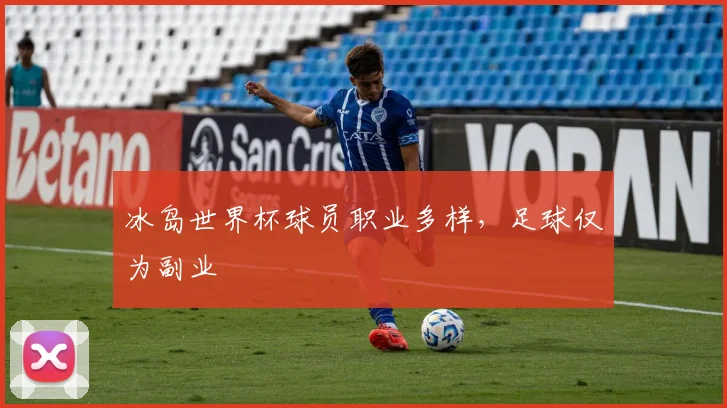 冰岛世界杯球员职业多样,足球仅为副业