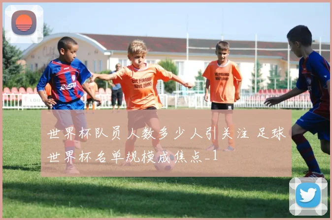 世界杯队员人数多少人引关注 足球世界杯名单规模成焦点_1