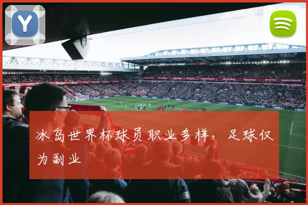 冰岛世界杯球员职业多样,足球仅为副业